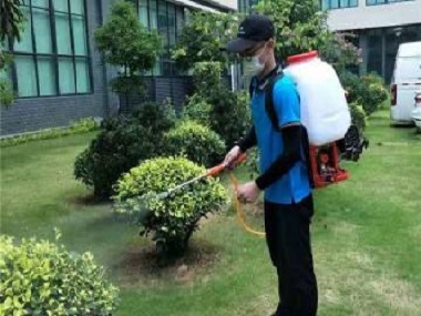 大塘四害消杀公司幼儿园防虫要怎么做?