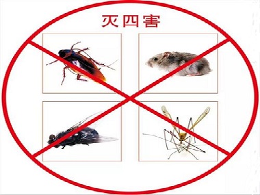 狮山病媒有害生物防控站应该怎么消杀室内四害